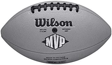 NFL Recreational Footballs
