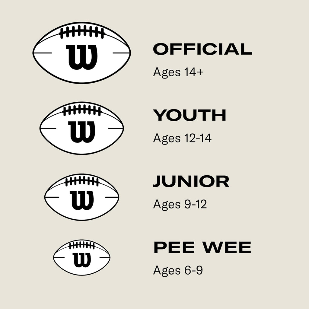 NFL Recreational Footballs