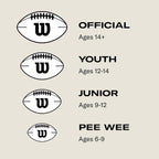 NFL Recreational Footballs