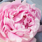 You Perfume for Women, Eau De Toilette Day or Night Spray with Fresh Flower Citrus Scent, 3.4 Fl Oz